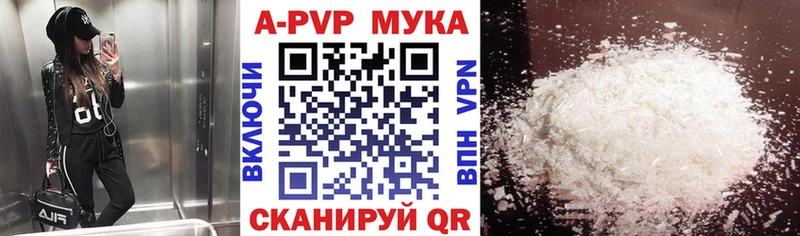 Альфа ПВП СК КРИС  ОМГ ОМГ ТОР  Волосово 