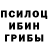 Псилоцибиновые грибы прущие грибы Mr Krogstat