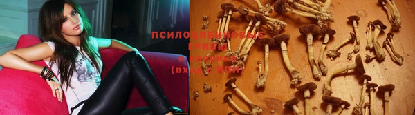 мет Верхний Тагил